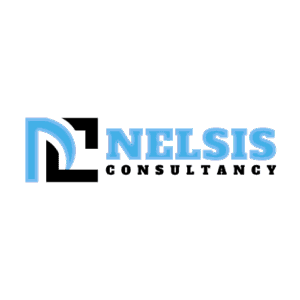 Nelsis Consultancy Main Logo